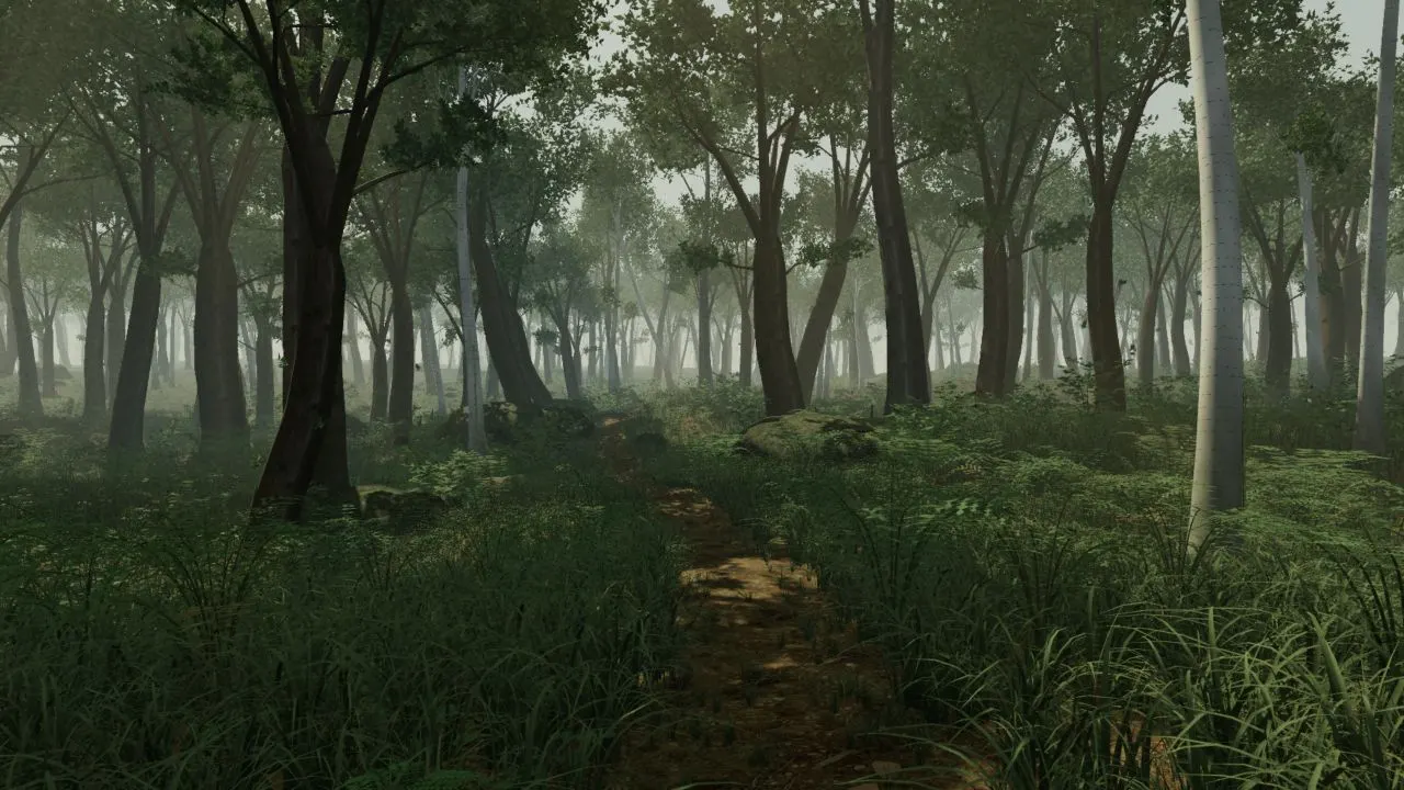 A path through Verdant Forest with dense trees, ferns, and mist